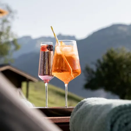 Grabnergut - Sommerkarte Der Gasteiner Bergbahnen Inklusive * Bad Hofgastein