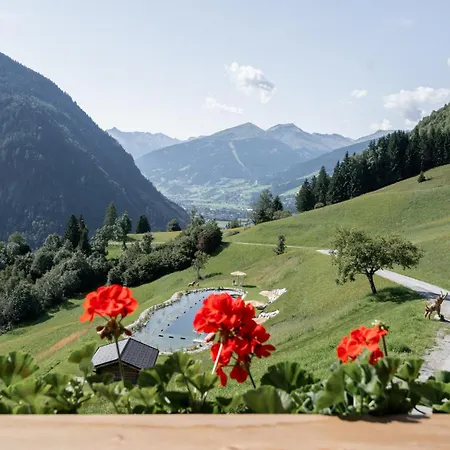 아파트 Grabnergut